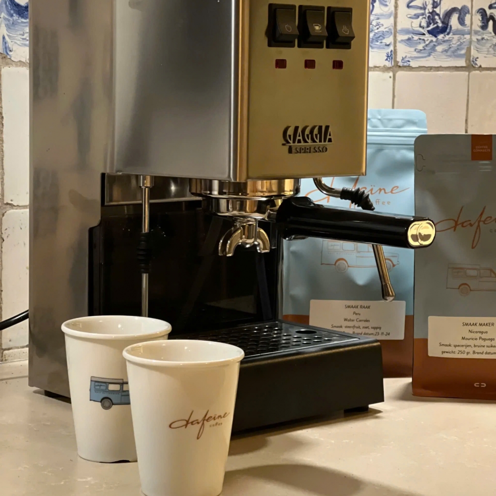 Máy pha cà phê Gaggia Classic E24